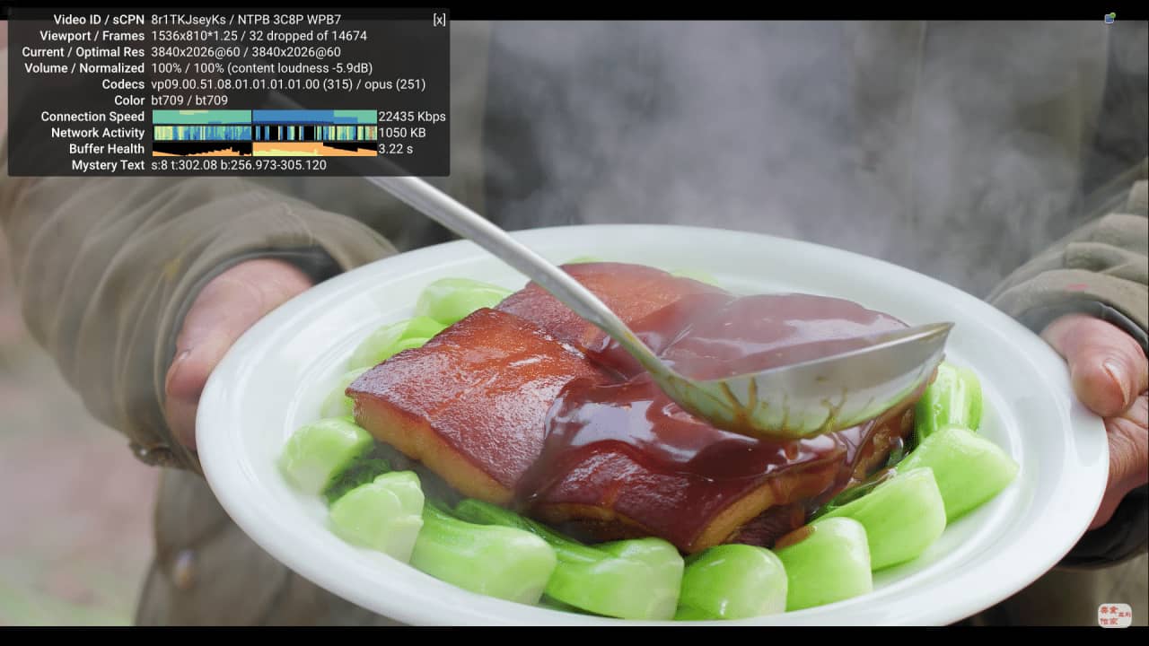 YouTube 4K 流畅观影