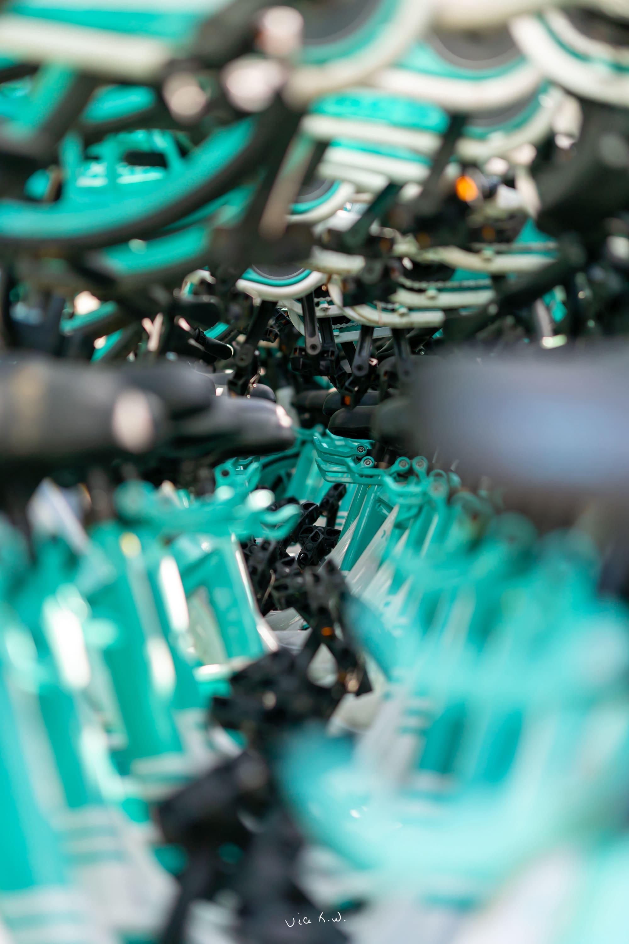 后山废弃的青桔单车