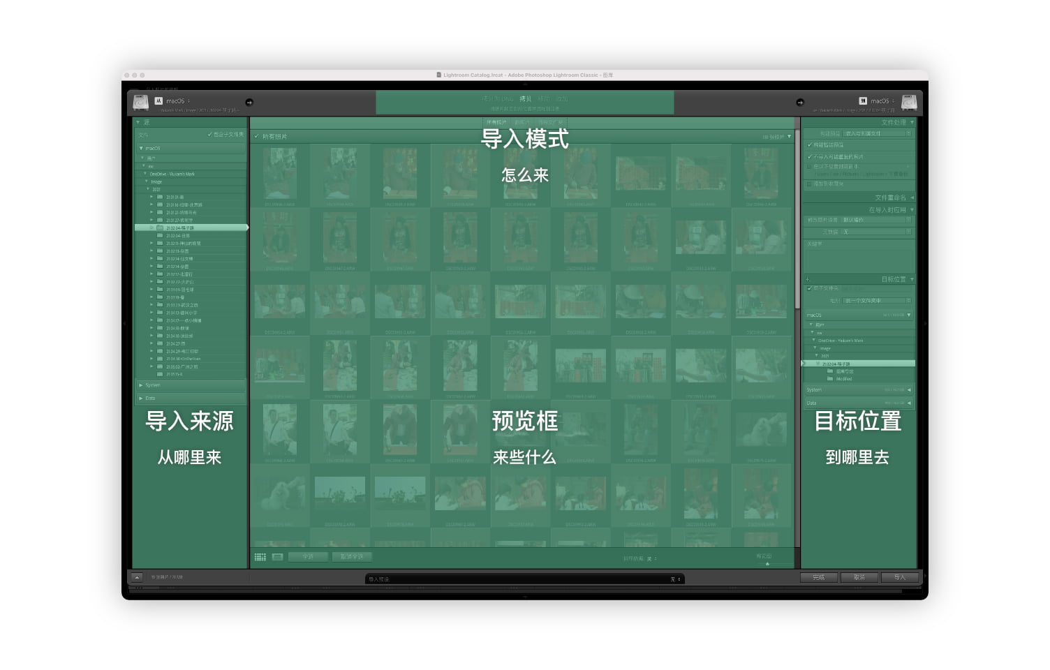 Lightroom-导入对话框