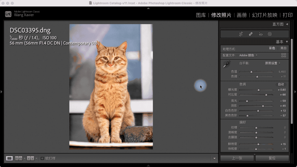 Lightroom：选择主体测试-宠物