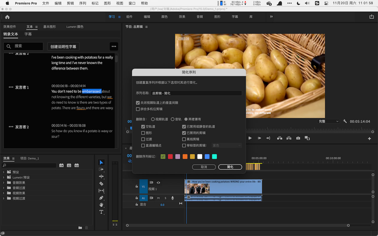 Premiere Pro：简化序列