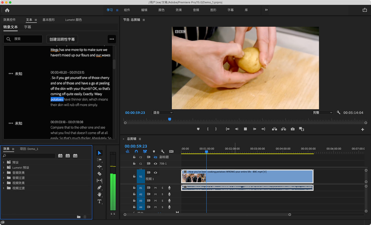 Premiere Pro：转录文本