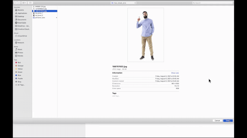 Project Strike a Pose