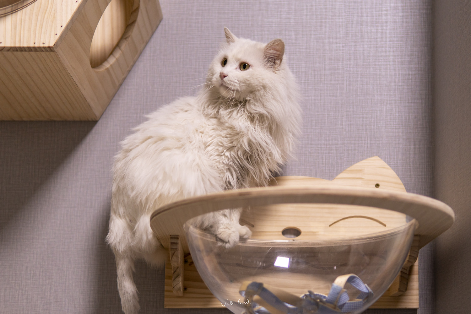 极客公园的「老钱」