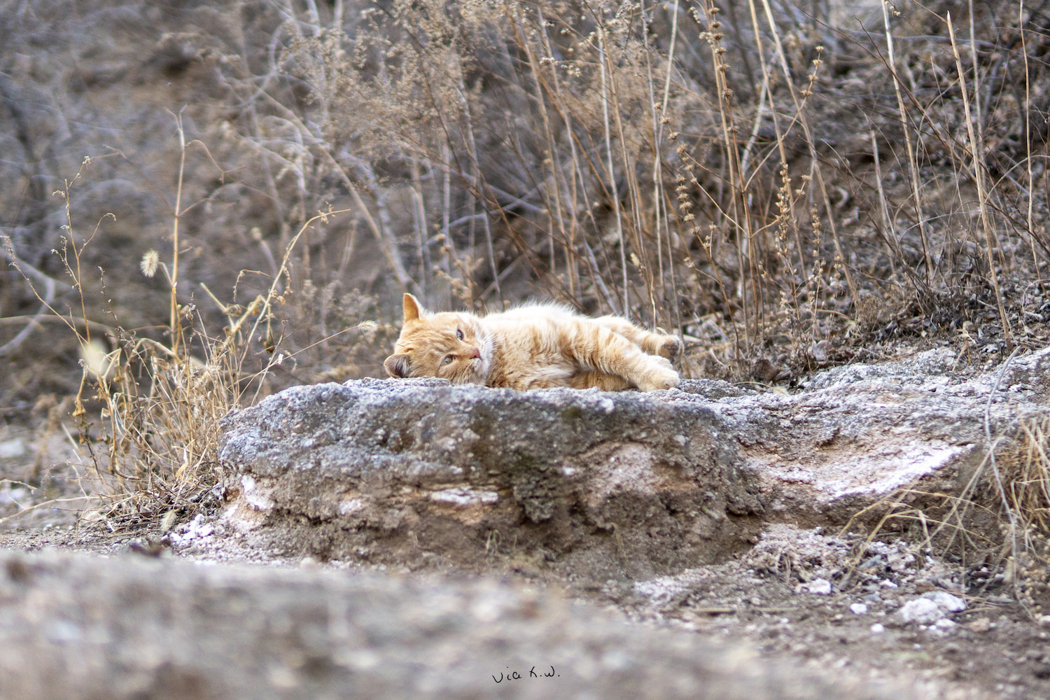 不想起来，好困