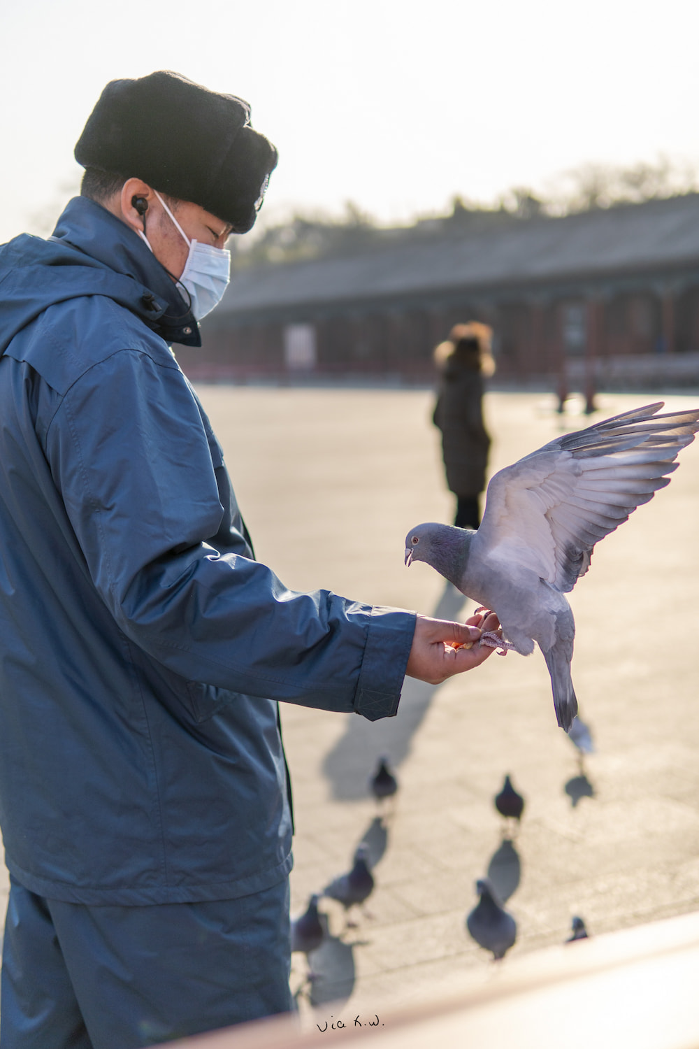 某咕咕因及时交稿而得到编辑赞赏